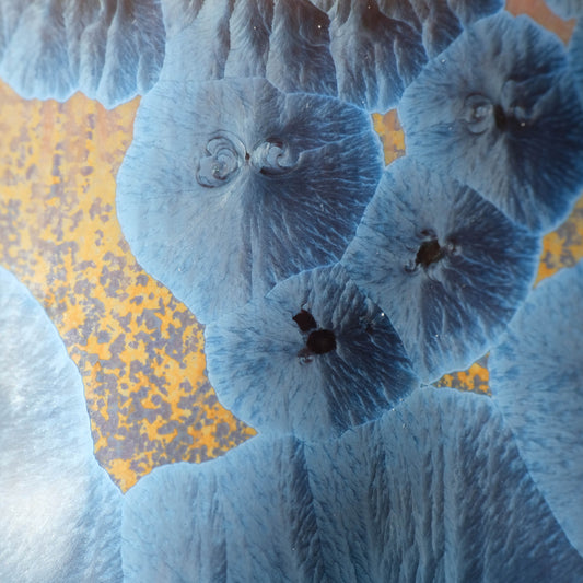 Vase PINEAE, couleur "Cobalt"